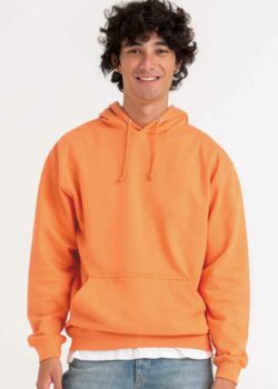 AWDis College Hoodie