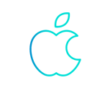 Apple Pay
